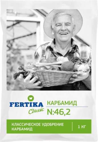 Катран Аккорд (хрен)