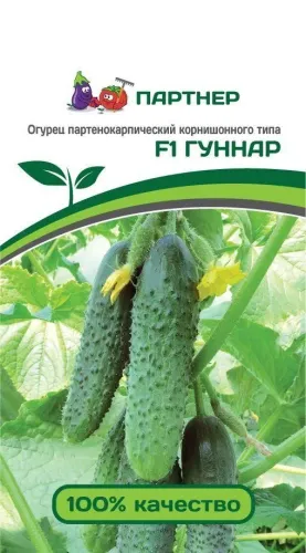 Огурец Гуннар