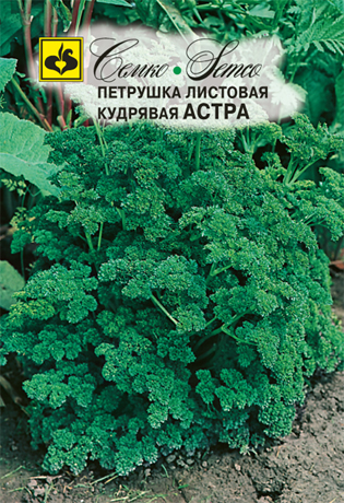 Петрушка листовая Салатная 2г