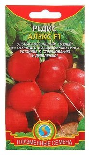 Редис 16 дневный 2гр