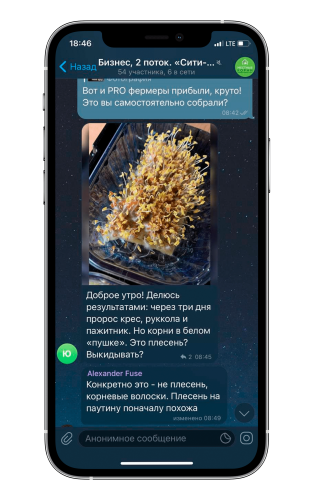 Редис Гонконг 2гр