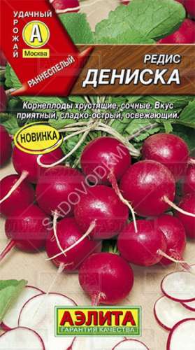 Редис Дениска 3гр