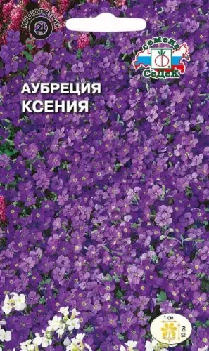 Аубреция Фиолетовая