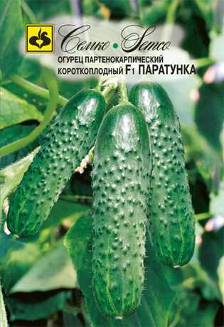 Огурец Паратунка