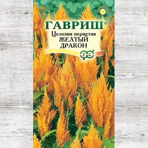 Целозия Желтый дракон