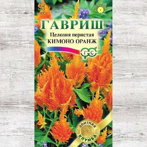 Целозия Кимоно оранж 10шт