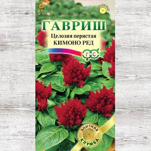 Целозия Кимоно ред