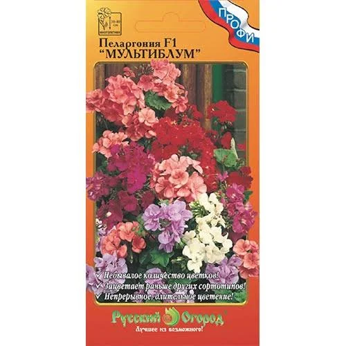 Пеларгония Нано Розовая