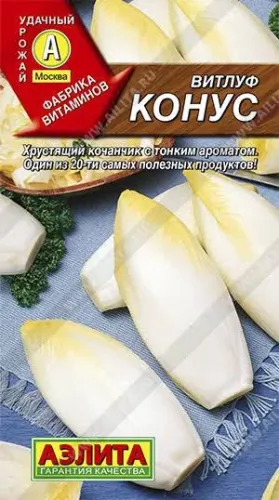 Цикорий салатный Конус 0,1гр