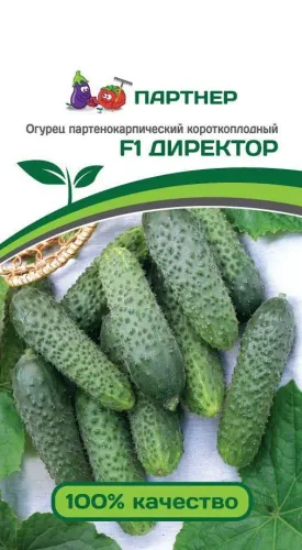 Огурец Директор 5шт