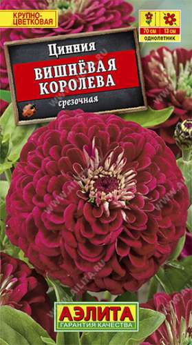 Цинния Вишневая королева 0,3гр