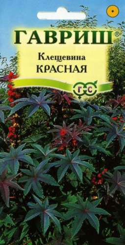 Корней 10г