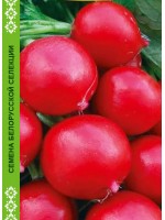 Редис Длинноплодный Русский деликатес