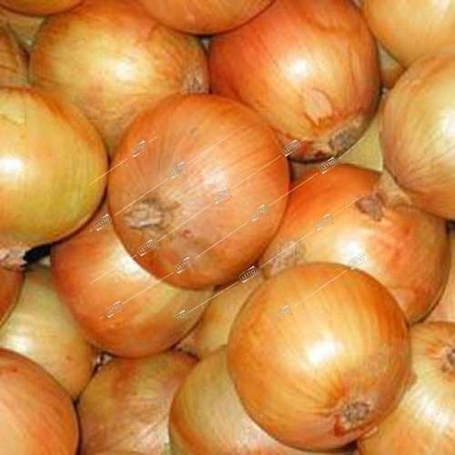 Лук Мячковский