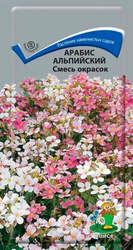 Арабис альп. Смесь окрасок