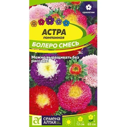 Астра Болеро Смесь окрасок