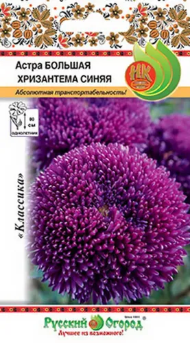 Астра Гигантские лучи синяя